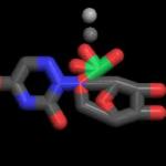 6-Azauridine