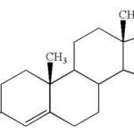 7b-Hydroxy-DHEA