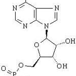 Adenosine 5'-monophosphate