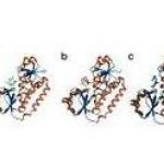 Albomycin Sulfate