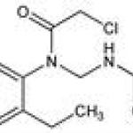 Amidomycin