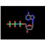 Amino-Deoxyadenosine