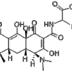 Apicycline