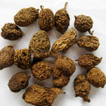 Arrowshaped Tinospora Root Extract