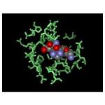 Bekanamycin Solfate