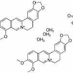 Berberine Sulfate Trihydrate