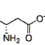 Calcium L-Aspartate