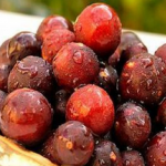 Camu Camu Extract