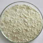 Cloxacillin Benzathine