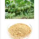 Corsvenor Momordica fruit extract