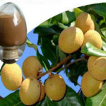 Dried Longan Pulp Extract