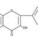 Fisetin