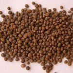 Garden Balsam Seed Extract