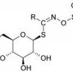 Glucosinolates