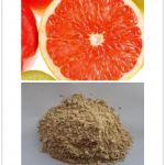 Grapefruit Seed Extract