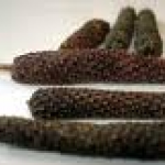 Long pepper fruit