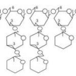 Maitake D-Fraction