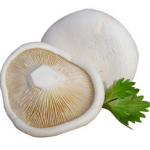 Pleurotus Nebrodensis Extract