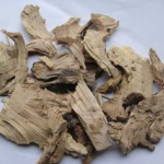 Pubescent Holly Root Extract