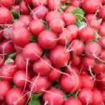 Radish red