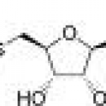 S-Adenosyl-Methionine