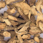 Tonkin sophora root extract