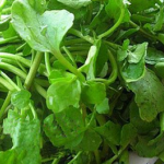 Watercress extract