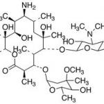 Erythromycylamine