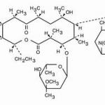 Erythromylin Base Filmtab