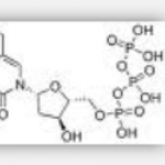 Ethyl Deoxyuridine