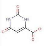 Lithium orotate