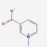 1-methylpyridinio-3-carboxylate 1-methylpyridinio-3-carboxylate
