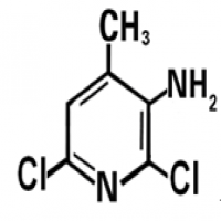 2,6-Dichloro-4-methyl-3-aminopyridine 2,6-Dichloro-4-methyl-3-aminopyridine