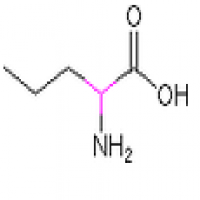 2-Aminopentanoic acid 2-Aminopentanoic acid