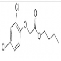 2,4-D butylate 2,4-D butylate