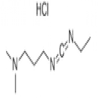 1-(3-Dimethylaminopropyl)-3-ethylcarbodiimide hydrochloride 1-(3-Dimethylaminopropyl)-3-ethylcarbodiimide hydrochloride
