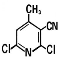 2,6-dichloro-3-cyano-4-methyl pyridine 2,6-dichloro-3-cyano-4-methyl pyridine