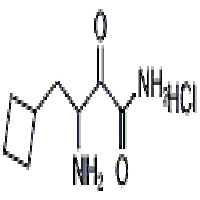 3-amino-4-cyclobutyl-2-oxobutanamide hydrochloride 3-amino-4-cyclobutyl-2-oxobutanamide hydrochloride