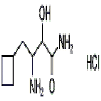 β-amino-α-hydroxycyclobutanebutanamide Hydrochloride β-amino-α-hydroxycyclobutanebutanamide Hydrochloride