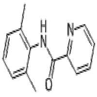 N-(2,6-dimethylphenyl)-2-pyridine carboxamide N-(2,6-dimethylphenyl)-2-pyridine carboxamide