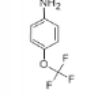 4-Trifluoromethoxyaniline 4-Trifluoromethoxyaniline