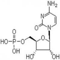 5-cytidylate monophosphate 5-cytidylate monophosphate