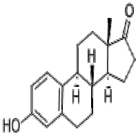 1,3,5(10)-Estratrien-3-ol-17-one 1,3,5(10)-Estratrien-3-ol-17-one