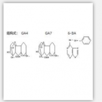 6-Benzylamino-purine + Gibberellin Acid (A4) + Gib 6-Benzylamino-purine + Gibberellin Acid (A4) + Gib