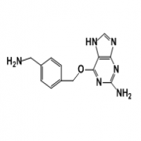 6-(4-(aminomethyl)benzyloxy)-7H-purin-2-amine 6-(4-(aminomethyl)benzyloxy)-7H-purin-2-amine