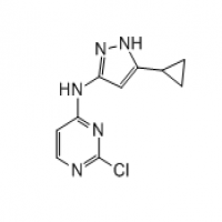 2-chloro-N-(5-cyclopropyl-1H-pyrazol-3-yl)pyrimidin-4-amine 2-chloro-N-(5-cyclopropyl-1H-pyrazol-3-yl)pyrimidin-4-amine