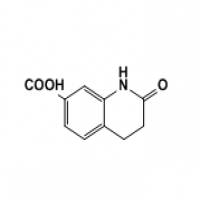 2-oxo-1,2,3,4-tetrahydroquinoline-7-carboxylic acid 2-oxo-1,2,3,4-tetrahydroquinoline-7-carboxylic acid
