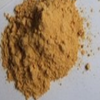α-Amylase α-Amylase