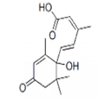 Abscisic Acid Abscisic Acid