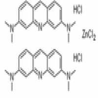 Acridine Orange Acridine Orange